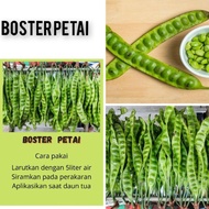 BOSTER PETAI BOOSTER PETAI PUPUK PETAI