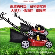 Mesin Pemotong Rumput Petrol Enjin Import 16 Inci 18 Inci 20 Inci 21 Inci Tolak Tangan Tolak Sendiri