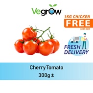 🔥FRESH 🔥Cherry Tomato 300g +-