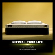 Midas ที่นอน  รุ่น LUMA Collection เเถมฟรีหมอนหนุน ส่งฟรี