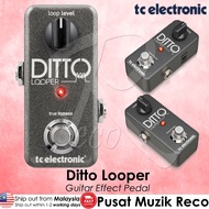 TC Electronic Ditto Looper Guitar Effects Pedal