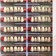 Promo Dental Gigi Palsu Caiyu Depan Atas 1 Papan