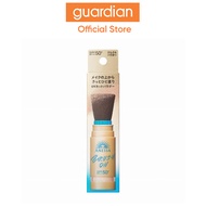 Anessa Perfect Uv Brush-On Powder 2026