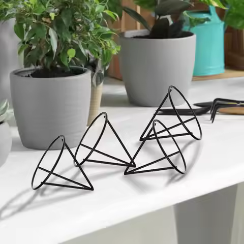 4Pcs Avocado Growing Triangular Holder Avocado Tree Growing Bracket Plant Growing Support Avocado Tr