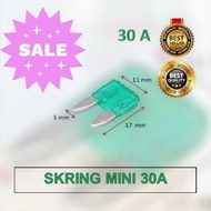 SMALL FUSE BLADE FUSE MINI 30A 1 box contains 100 (TG)