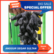 Anggur SULTAN Merasa Sultan Masuk Anggur Hijau Merah Hitam Anggur Jari Impor Segar 500 GR 1 Kg Buah Import Australi Segar Bawang Merah Buah Segar BREWOK DADDY