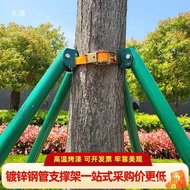 Wood Bracket Support Rod Steel Pipe Garden Tree Big Tree Tree Strap Holder Windproof Support Frame G
