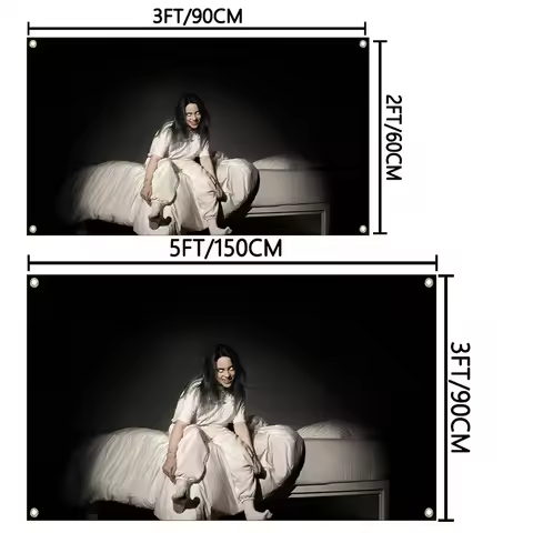 Famous pop singer B-Billie album flag 3x5fts 2x3fts home decoration aesthetics wall hanging bedroom 