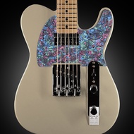 Bào Ngư phong cách Pick Guards tấm Pickguard đàn guitar Guitar người mới bắt đầu sử dụng cho đàn ghi