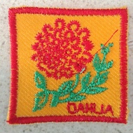Dahlia regu mark dahlia grain regu mark