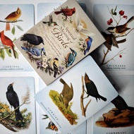 The Spiritual Meaning of Birds Oracle Deck, 10.5*7.5cm 50 Pcs Nature-Inspired Fortune Telling Cards 