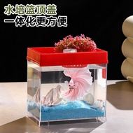 Akuarium ikan emas kecil, akuarium ikan betta, akuarium plastik hiasan rumah, akuarium penyu ekologi