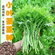 Artemisia Seeds Seeds Seeds Vegetable Seeds Emperor Vegetables Autumn Winter Seeds Seeds Vegetables 