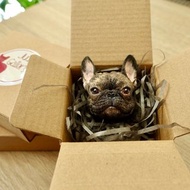 【擴香石彩繪】客製寵物香薰磁石貼 車用香薰夾 │法虎/法鬥款