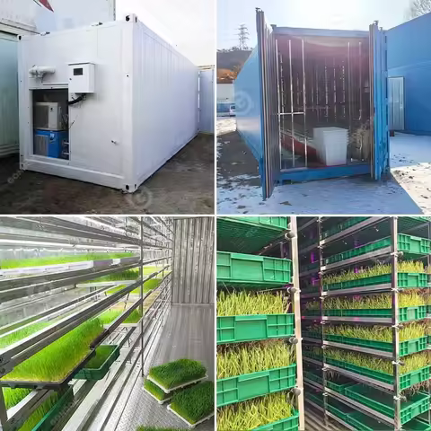 Hydroponic Fodder Seed Barley Green Tray Shipping Farm Container Grow Growing Room Germinate Machine