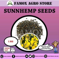 SUNN HEMP SEEDS / BENIH SUNN HEMP