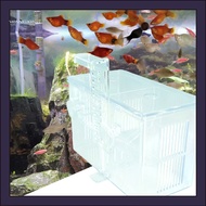 [WX] Fish Tank Breeding Box Transparent Large Space Two Layers Pollution-free Thick Protect Baby Fish 2 Compartments Suction Type Fish Tank Breeding Box Aquarium Supplies