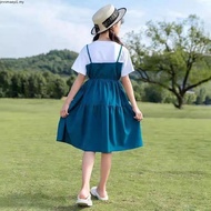 BNS Kids Dress kids girl korean style baby girl dress kids clothes girl baju dress budak perempuan b