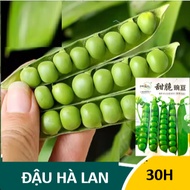 Pea Seeds (30H)