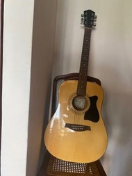 Musical Instrument NEW Acoustic Guitar  by Ibanez