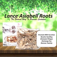 500g Lance Asiabell Roots The natural herbs to promote lactation.