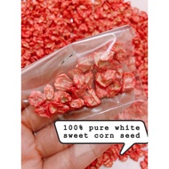 20 PCS| Organic | benih jagung susu manis | biji benih Hokaido jagung susu juicy| snow white sweet c