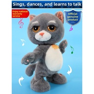 KIDCHO | Interacting Singing Moving Learning Cat Plush Toy CT2G