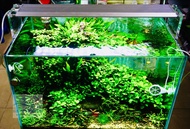 [HOÀN TIỀN 10%]Đèn WRGB Week Aqua Pro series M450