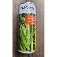 Benih Bendi OKRA Seeds OK10 Green Finger 秋葵种子 羊角豆 200gram