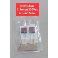 FUSE 220Vac/2.5Amp(FUSE)(Leg Distance 5mm.)(2 Pieces Per Pack)