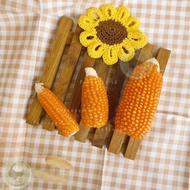Ready mini dried corn 1kg | cemilan chew toys hamster | jagung kering