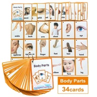 Body Parts Speech Therapy Cards Visual Behavior Cue Card Speech Delay Toy Terapi Pertuturan