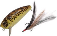 CORMORAN Mudgee Popper 55#165 BR Frog