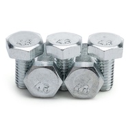 White Galvanized External Hexagon Screws, Extended Hexagon Screws M3/M4/M5