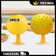 5PCS Fruit Fly Trap Ball Glue Premium Fly Trap Fruit Fly Trap Home Fruit Fly Trap