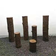 Aquarium Driftwood Forest Tree Trunk Aquatic Plant Landscaping Redwood Rainforest Tank Decoration Tu