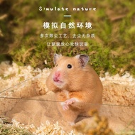 Hamster Bath Sand Toiletries Bathroom Bath Sand Golden Bear Dedicated Desert Sand Bath Salt Bath Deo