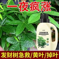 有機肥 花肥 開花肥 肥料 氮磷鉀 磷鉀肥 磷酸二氫鉀 發財樹營養液肥料專用肥室內盆栽防黃葉綠植通用花肥料液體有機肥