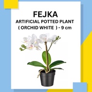 FEJKA Artificial potted plant ( Orchid white ) - 9 cm