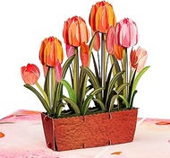 Frndly by Paper Love, Tulip Plant 3D Pop Up Card, For All Occasion, Mothers Day, Valentines Day, Ann