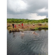 Anco net Nilon 1/ 2 inches 360cm x 360cm