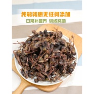 Pet Dog Snacks Cat Freeze-Dried Quail Cub Chicken Jerky Teddy Mixed Food Nutritious Hair Cheek Train