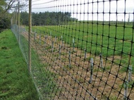 Lưới nhựa đen dẻo cao cấp lỗ 30mm loại 2 (làm hàng rào lót sàn... nuôi gà vịt...) khổ cao 1m - 2m X 