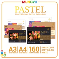 Mungyo Pastel Paper Pad Colored Drawing Paper for Oil Pastel, Soft Pastel, Crayon, Colored Pencils, 