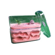 D-001 Ant Story World Workshop Tribe Plaster Ant Nest Ant Nest Ant Nest Birthday Gift Popular Scienc