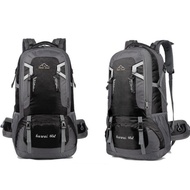 Large 60L travel backpack suitable for 1 week outings - L024
