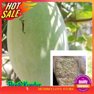 7 Pcs Benih Kundur/Winter melon seed Ready Stock Sarawak