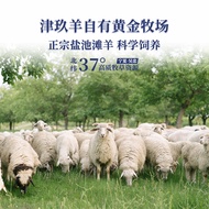 Yanchitan Sheep Golden Diamond Light Luxury Gift Box Gift Card Pickup Card Shopping Card Scratch Car