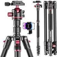 CAMBOFOTO 74-inch-Professional-Camera-Photography-Tripod, Ball Head Aluminum DSLR/SLR Tripod &amp; Monopod with Carry Bag Compatible with Canon Nikon Binoculars Laser Telescope (Weight 3 Lbs, 15Lbs Load)