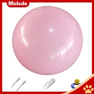 Yoga Stability Ball Heavy Duty Yoga Ball Anti-slip Yoga Ball with Air Pump for Home Gym Workout 55/6